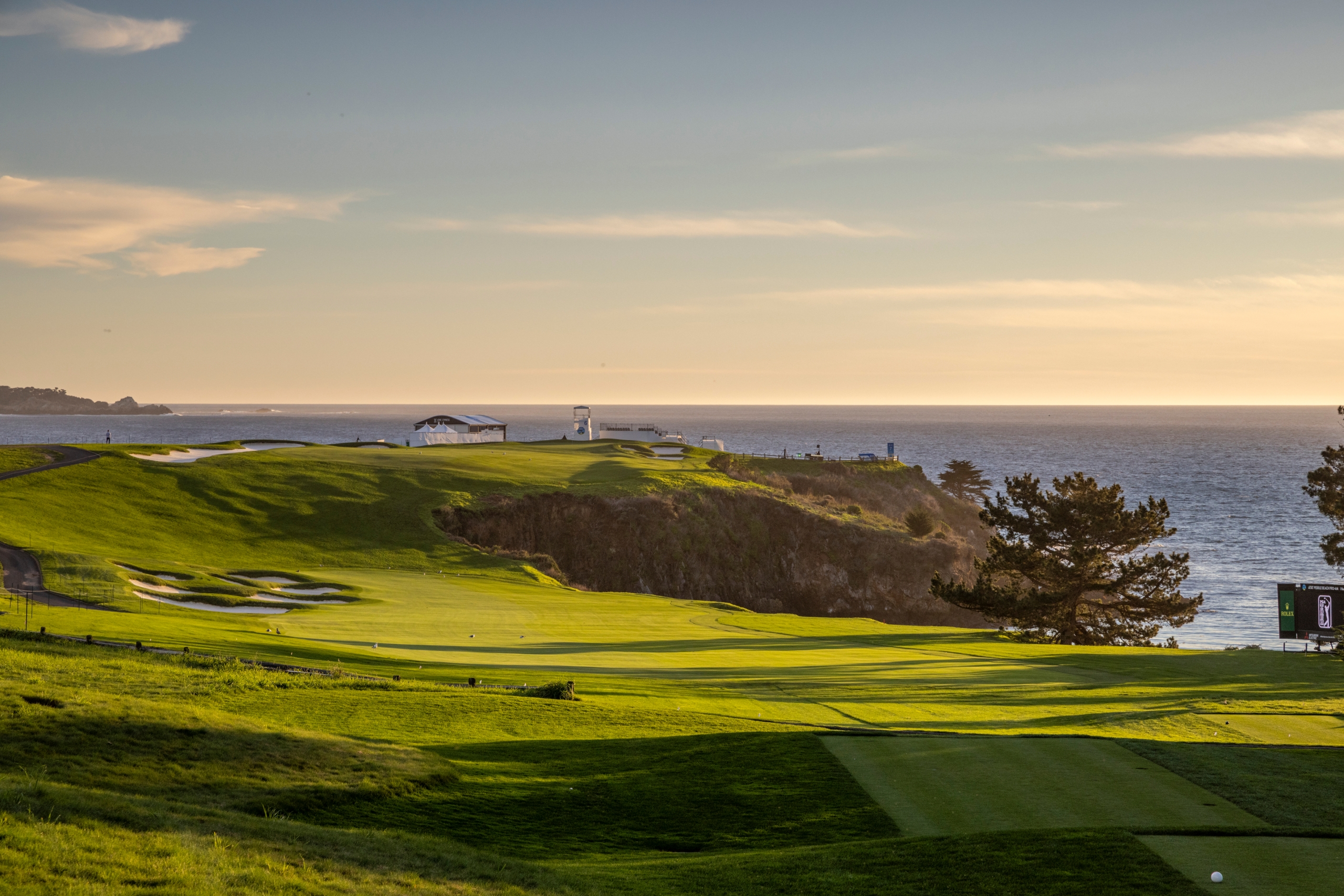 A golf green and cliffside overlooking the ocean at sunset, featuring a single large pine tree on the right.