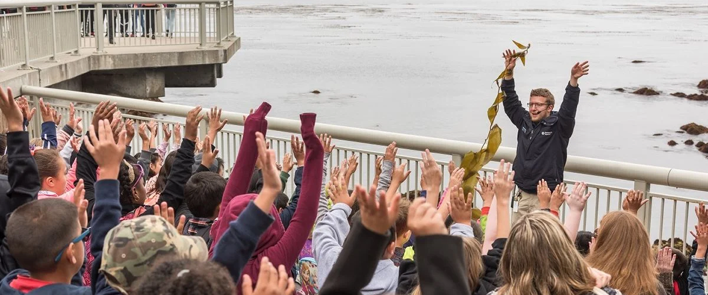 A man holding up giant kelp while a large group of enthusiastic people raise their hands on a pier overlooking the water.