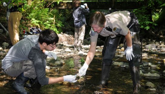 Two environmental volunteers, one wearing waders, kneeling in a stream to collect water samples or plant data.