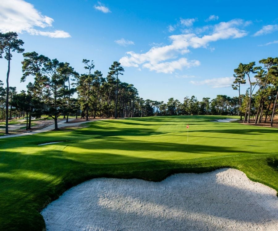 A sunny view of a golf course fairway and green bordered by tall pine trees, with a large sand bunker in the foreground.
