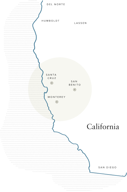 An outline map of California highlighting the Foundation's tri-county service area of Santa Cruz, San Benito, and Monterey.